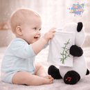 Andy - o Ursinho Panda Interativo