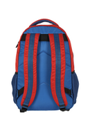 Mochila One Piece Monkey D. Luffy – Luxcel Special Edition