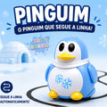 Carrinho Mágico – O Carrinho que Segue a Linha!