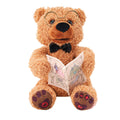 Urso de Pelúcia Contador de Histórias - Zoop Toys