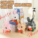 🐰 Coelhinhos Saltitantes